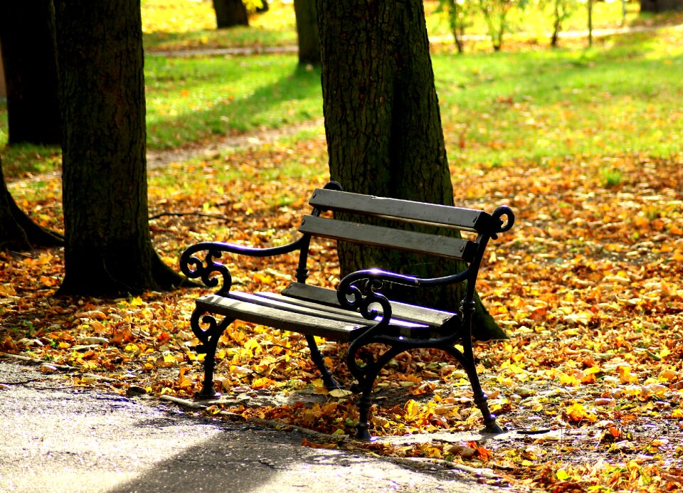 Autumn the stage sit