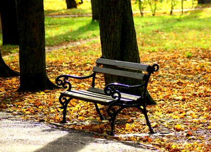 Autumn the stage sit
