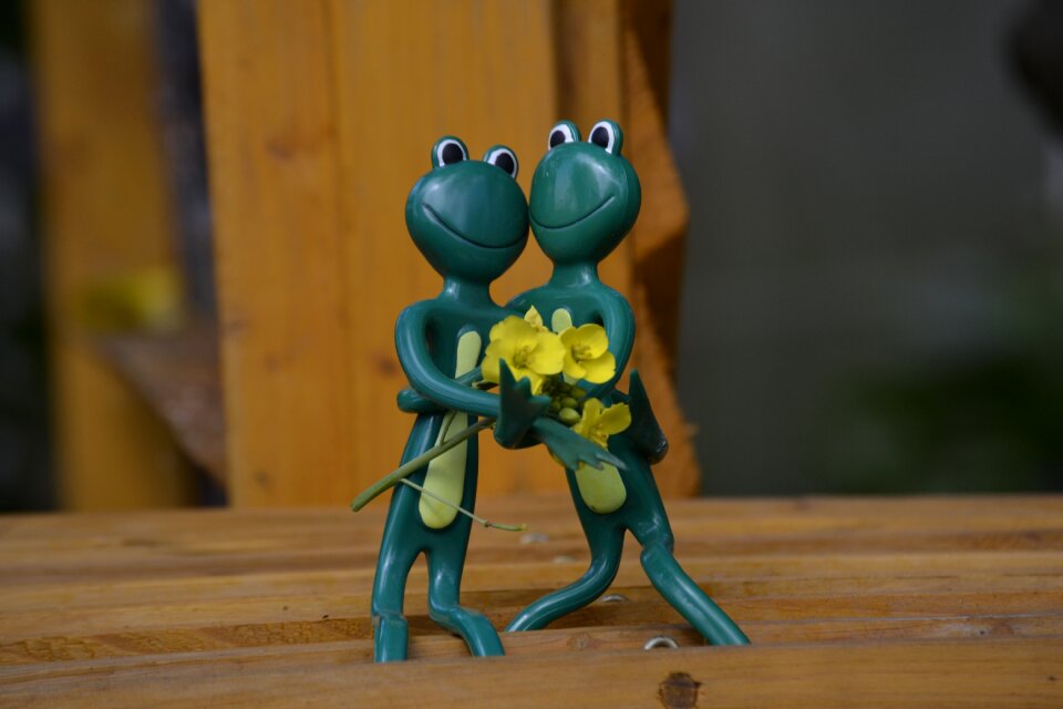 Green figure tree frog