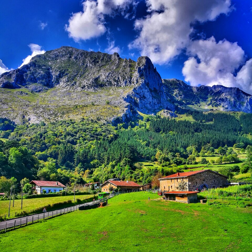 Nature panoramic field