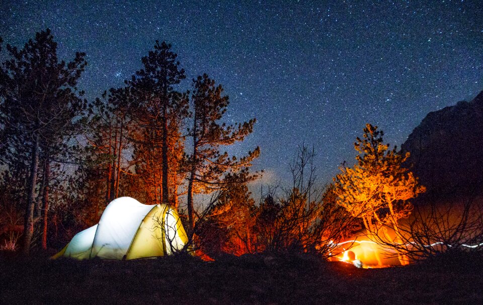 Night forest camping