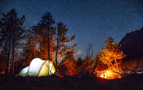 Night forest camping