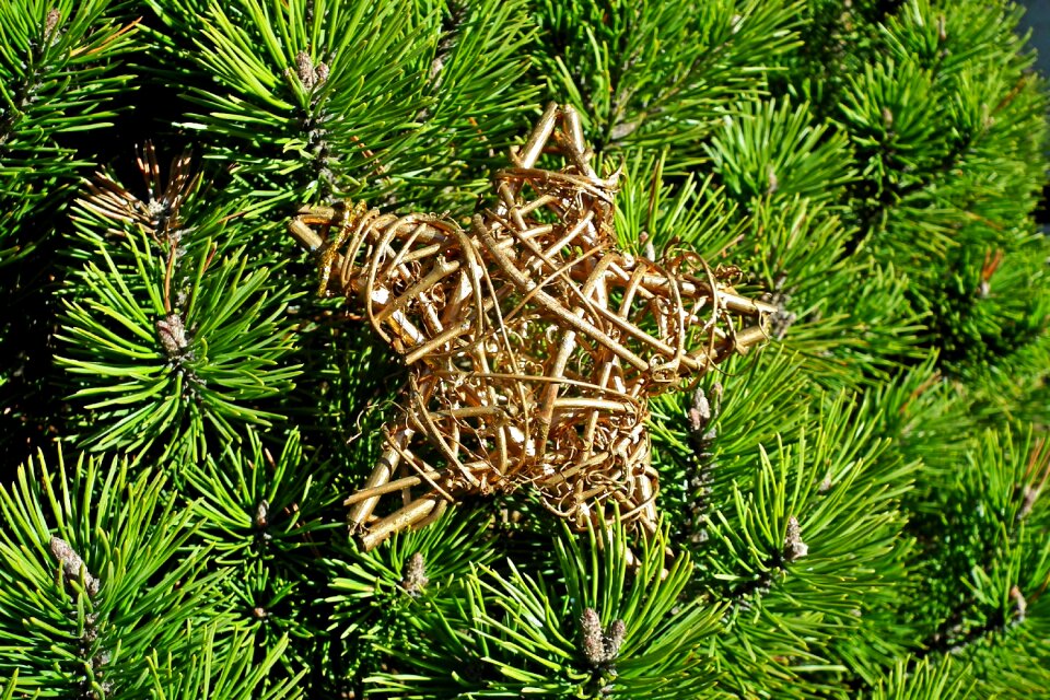 Decoration holidays ornament