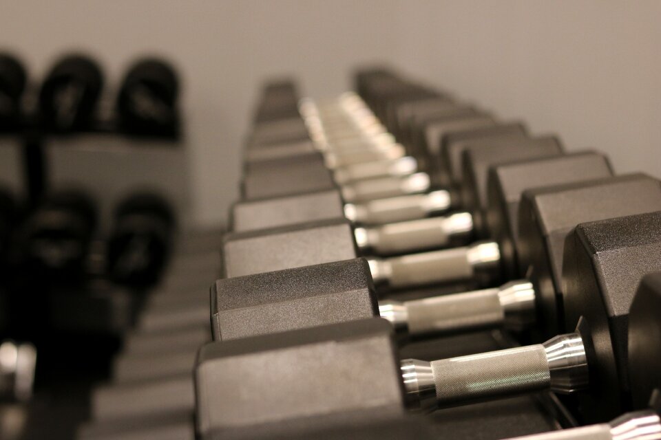 Gym workout equipment