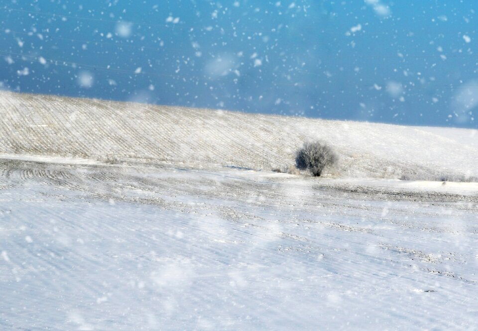 Landscape winter snowflakes