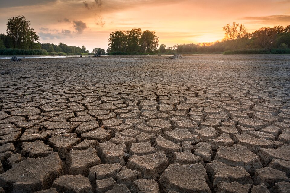 Landscape mud dehydrated