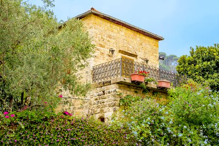 Ancient rural garden photo