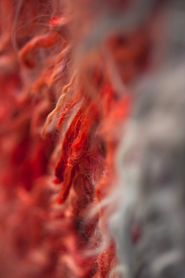 Texture macro red