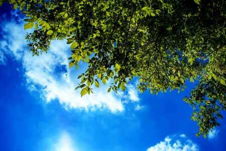 Weather blue green