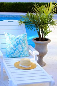 Pool summer sunshine