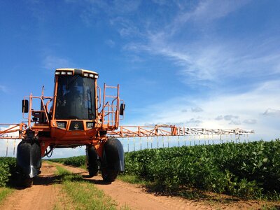 Insecticide pesticides insect