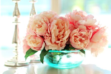 Spring peony summer