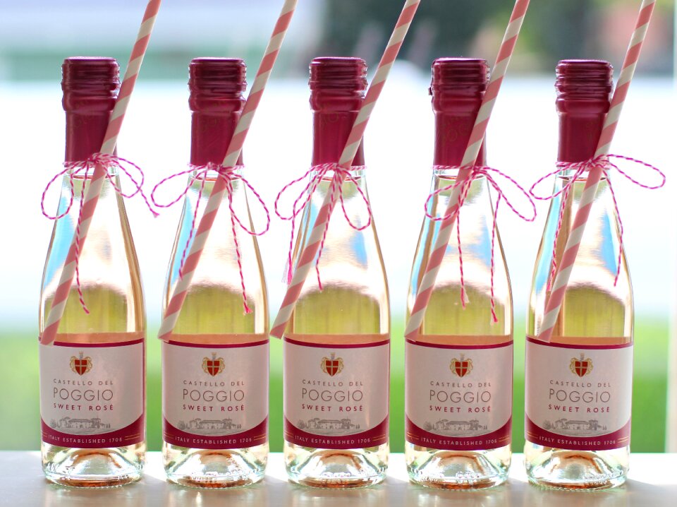 Party alcohol straws
