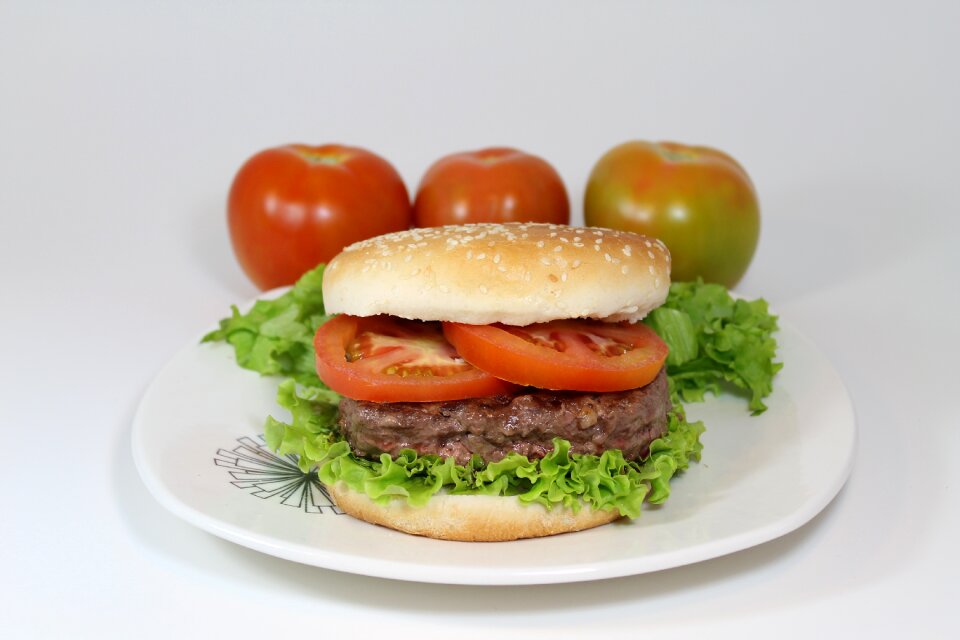 Food bread lettuce