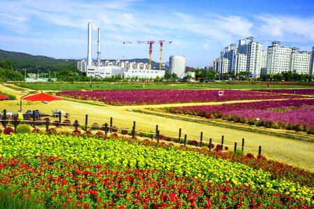 Wabu flower garden garden