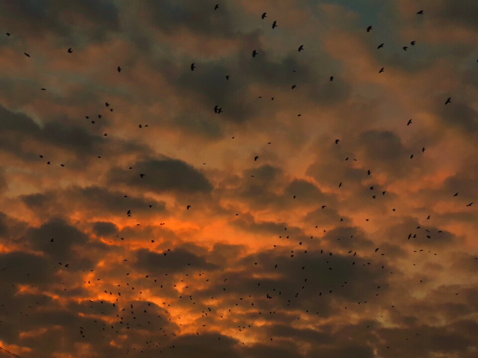 Sky sunset clouded