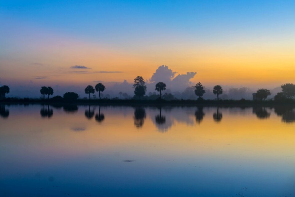 Tropical colorful landscape