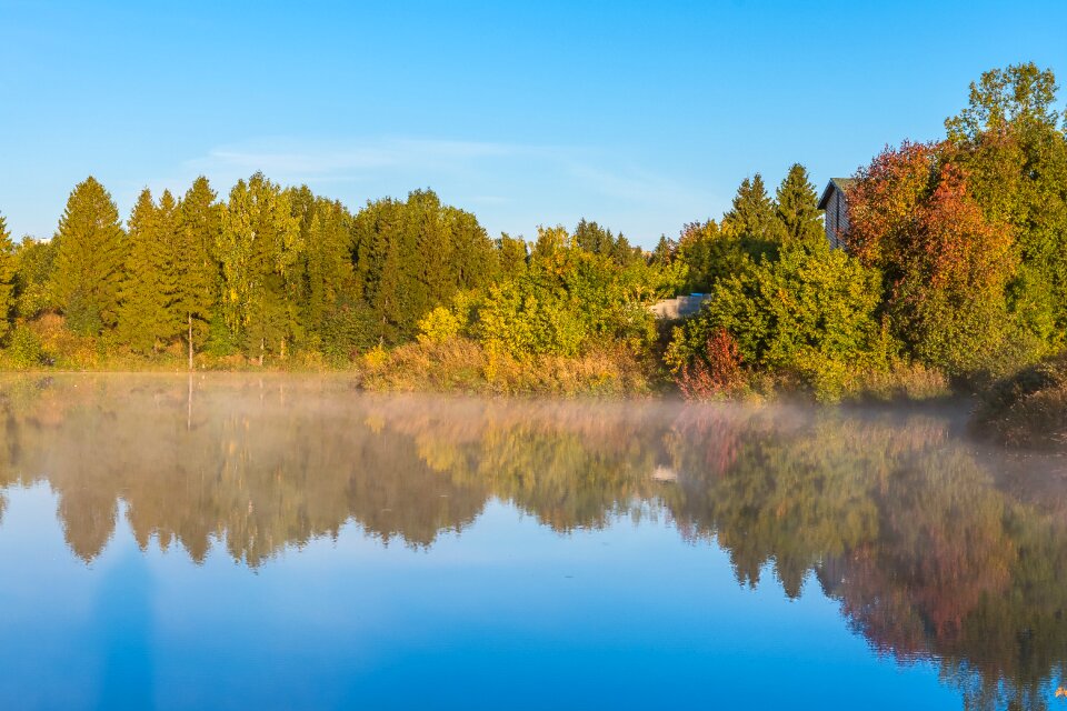 Sky lake trees photo