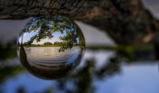 Photography lake twisted