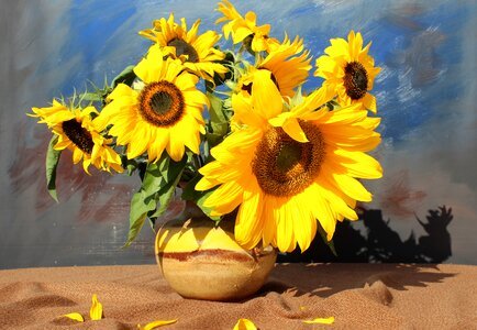 Still life sunflower yellow