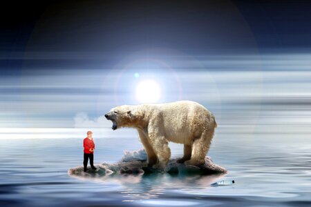 Polar bear environmental protection environmental policy photo