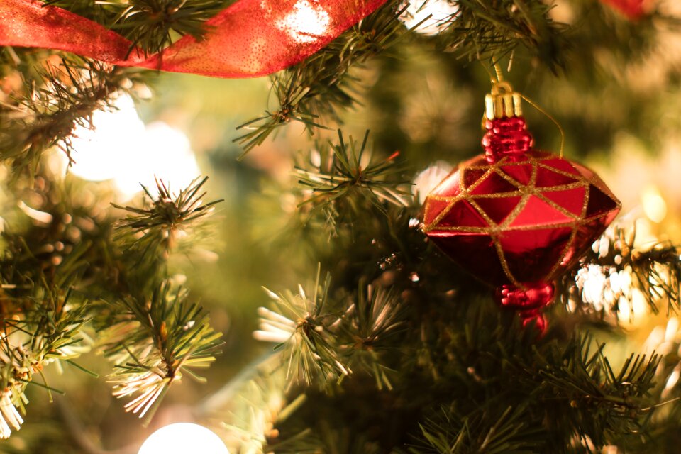 Christmas ornaments ornament christmas ornament