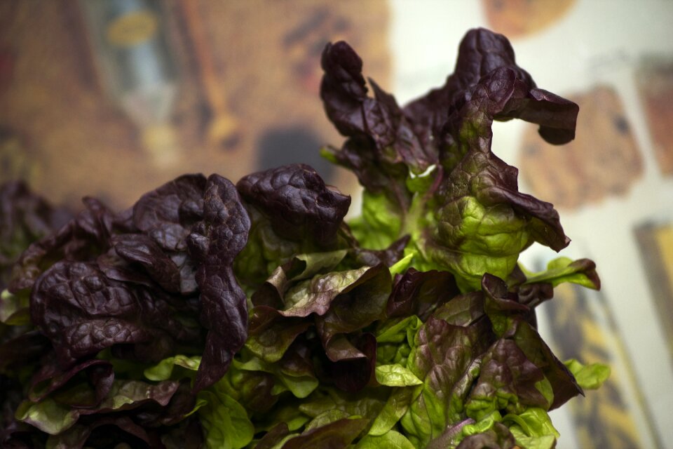 Healthy fresh food