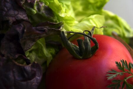 Food fresh healthy