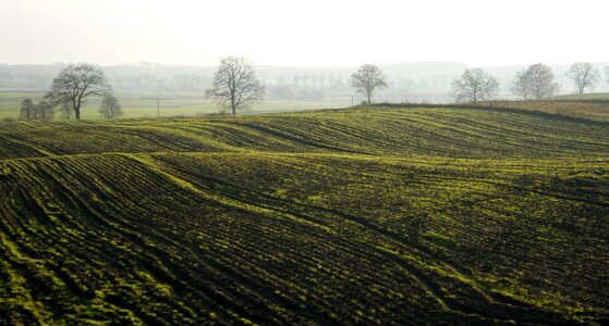 At the court of panoramic soil photo