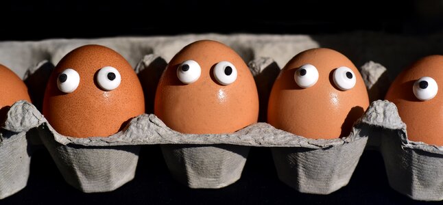 Eggs heads funny sweating photo