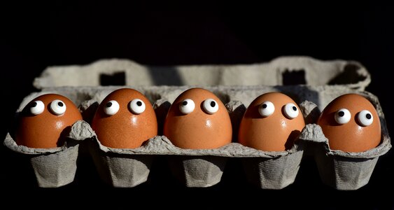 Eggs heads funny sweating photo