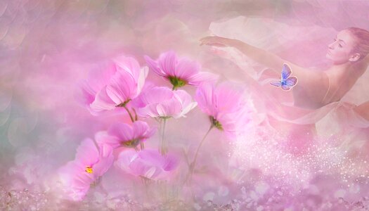 Tender dancer spring