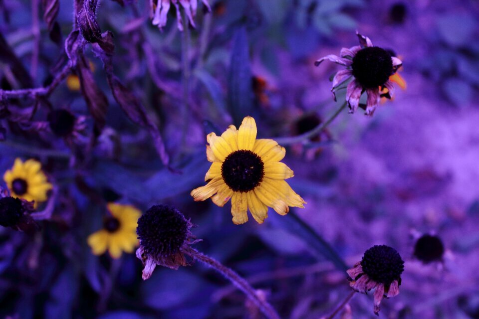 Nature landscape season