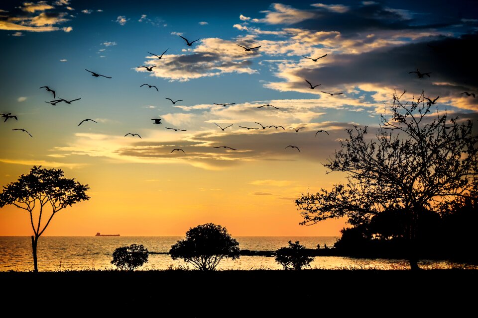 Istria mediterranean sunset photo