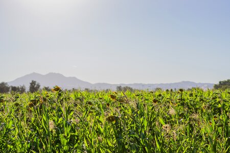 Landscape scenic countryside photo