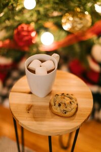 Christmas eve santa cookies christmas tree photo