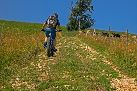 Cycling cyclists landscape