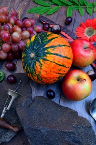 Joy pumpkin corkscrew photo