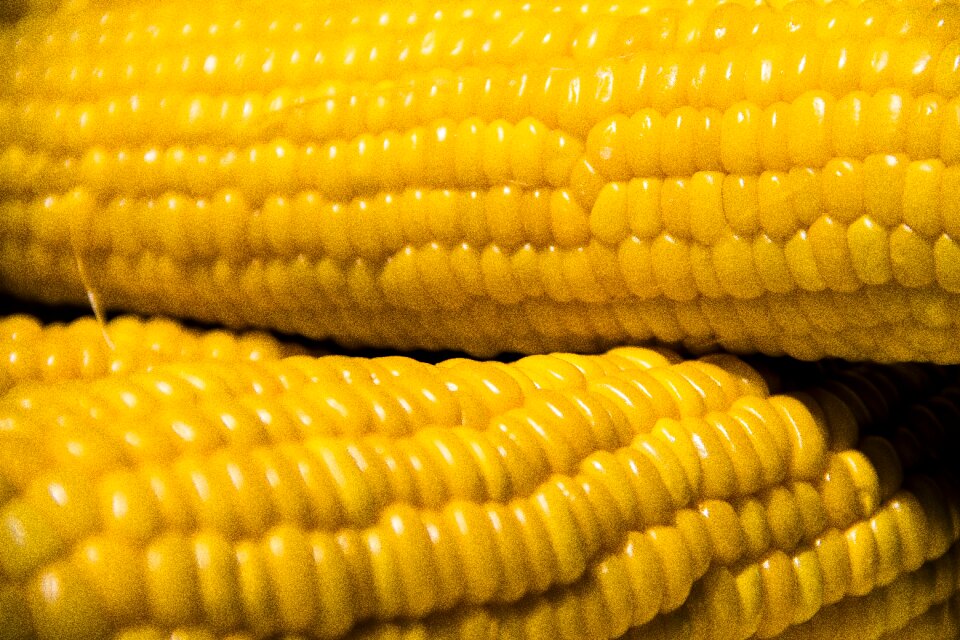Fresh harvest healthy