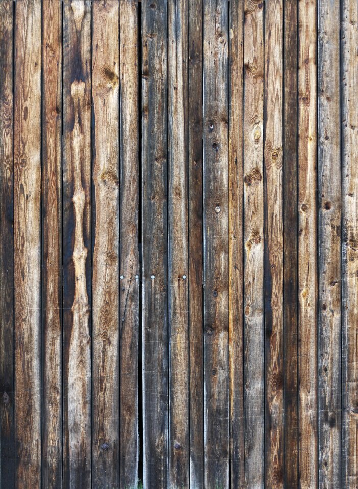Old weathered branches