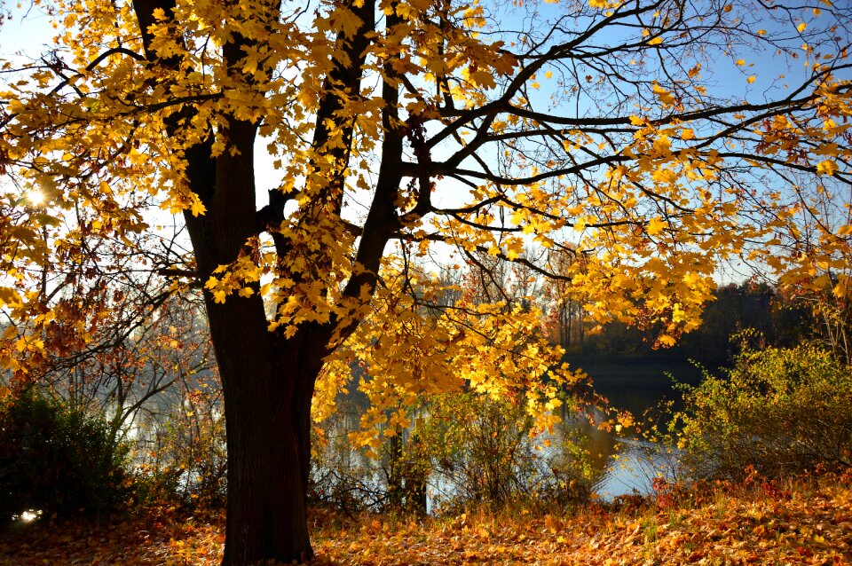 Landscape autumn landscape nature
