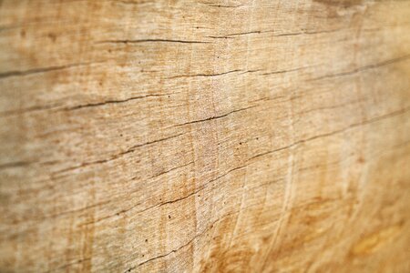 Plate table wall