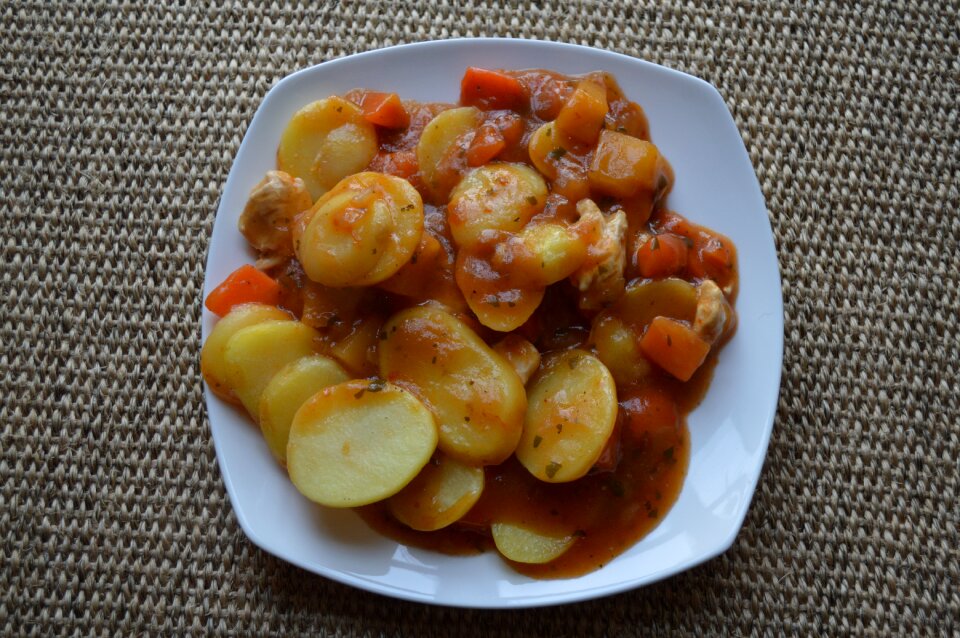 Dish dinner plate
