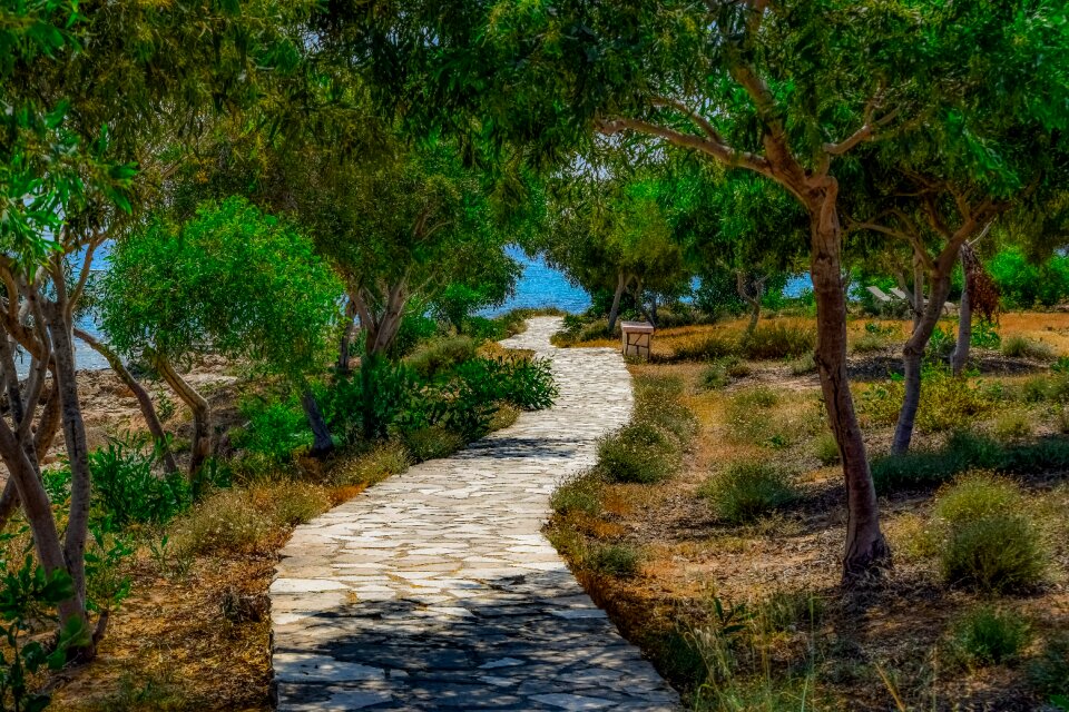 Landscape wood makronissos