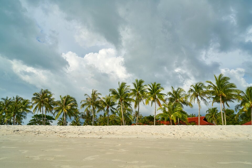 Ocean tropical wave