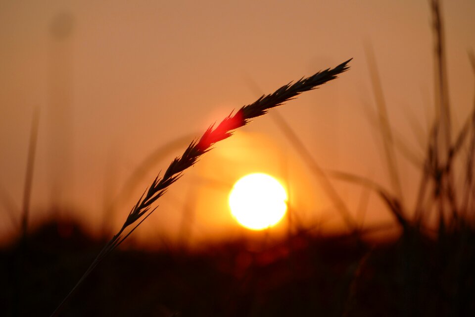 Background evening sun