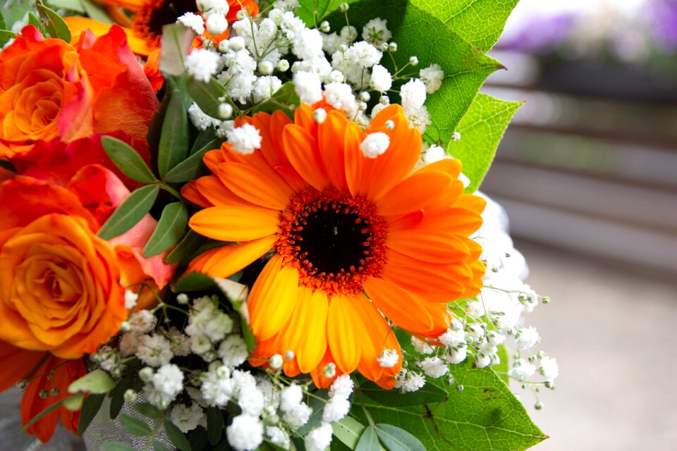 Rose wedding marry