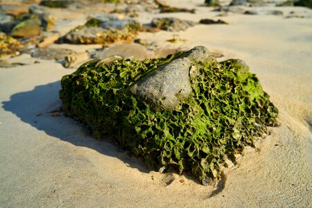 Sand summer nature photo