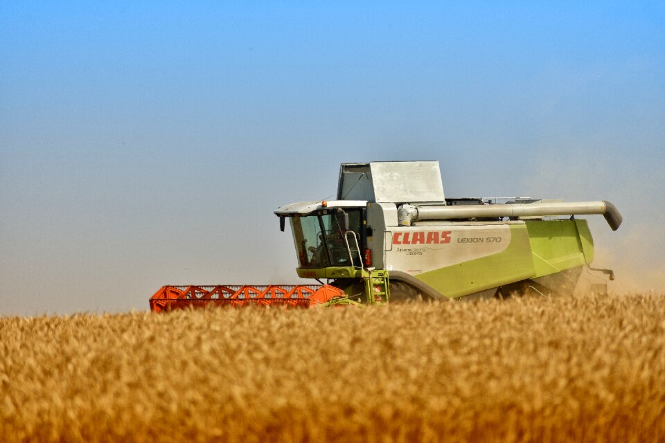 Harvest grain technique