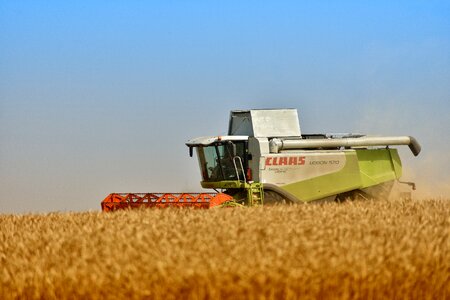 Harvest grain technique photo